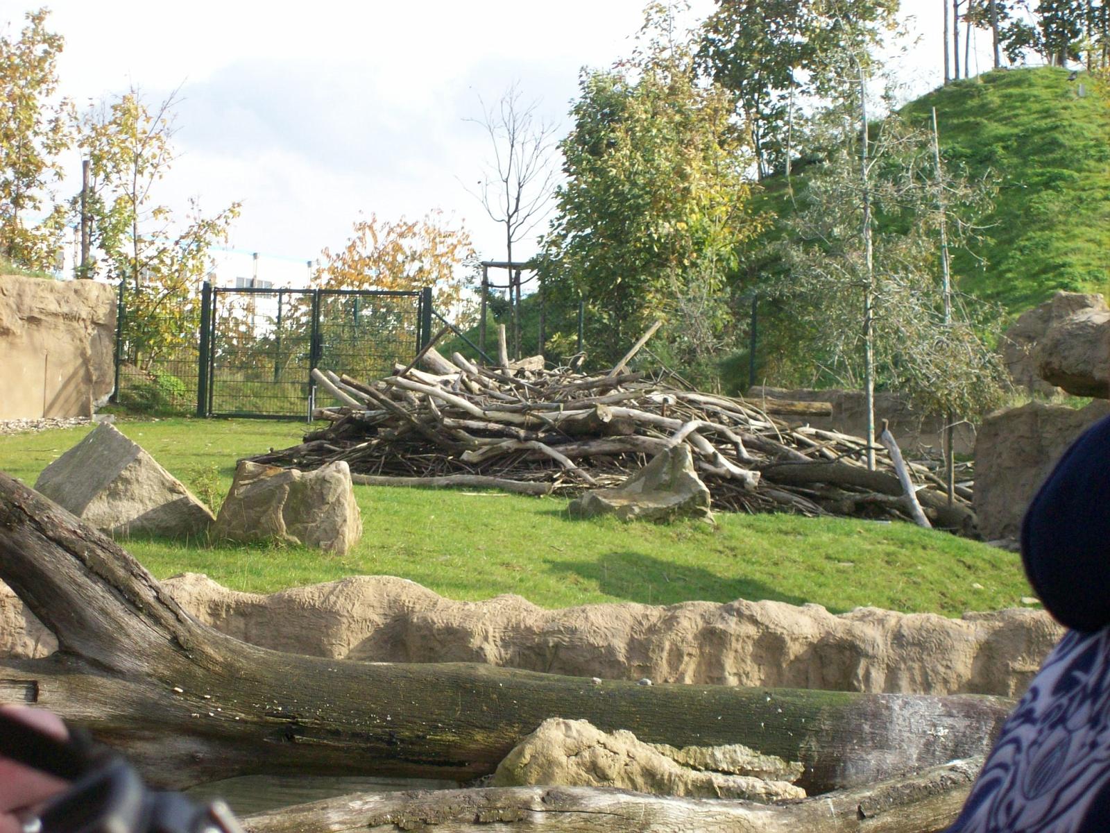 Zoom 18.10.2008-136.jpg